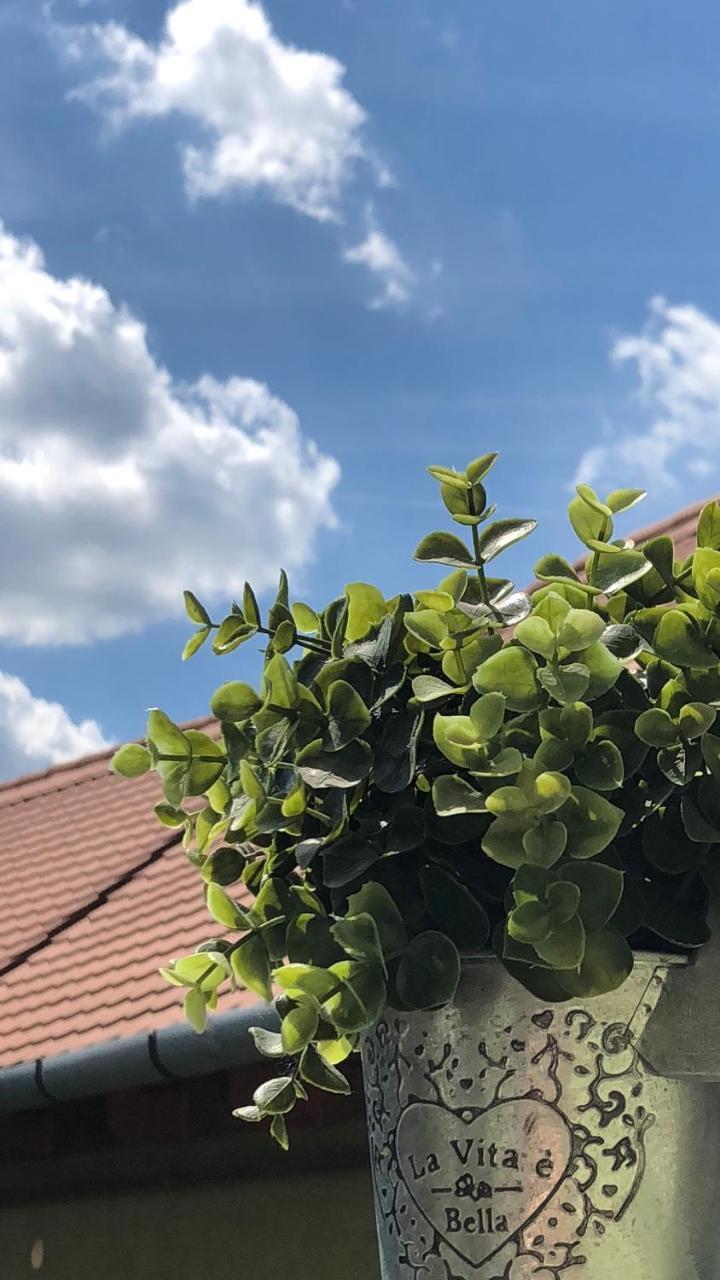 Apartament Frank Apartman Eger Zewnętrze zdjęcie